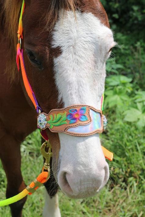 personalized horse halters cheap.